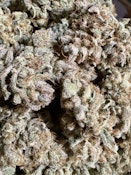 *STRAIN OF THE WEEK* Sunshine Daydream | Blackwood Cultivation