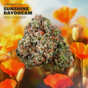 Sunshine Daydream Flower T28.98% I 01069
