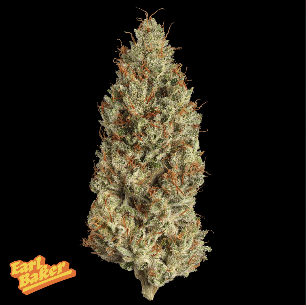 Earl Baker - Earl Baker - Whole Flower - Super Buff Cherry 017 Main Image