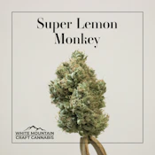 Flower | Super Lemon Monkey