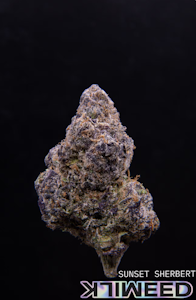 Milkweed - MilkWeed | Sunset Sherbert | 7 grams