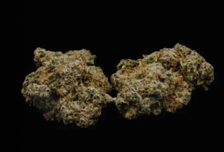 CURALEAF - Texas Shoreline (S) 00260