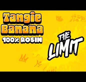 RKIVE - The Limit - Tangie Banana - 0.5g Rosin Pod Main Image