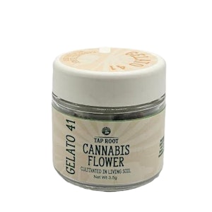 TAPROOT - Tap Root - Gelato 41 - 19.77% THC - 3.5g - Dry Flower