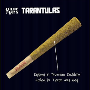 CRUDE BOYS - Tarantula - Red Wine - 1.1G
