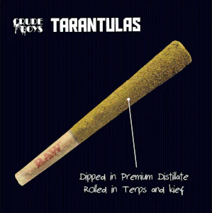 CRUDE BOYS - Crude Boys Tarantula - Magic Dragon