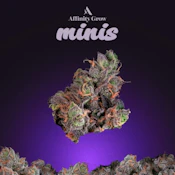 Tear Gas Flower Minis T19.22% I 00872