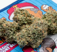 TEDS BUDZ 3.5G Blue Chew Indoor Flower