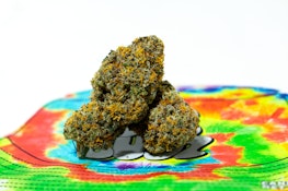 Teds Budz - Reading Rainbow Flower - 3.5G
