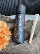 Vice City Prerolls 2.1g 3pk