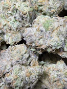 *Fresh Drop 5/15* Laughing Gas #8 (New Pheno)| Best Friend Farms