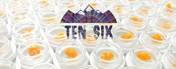 Ten Six Labs - Ten Six Labs - Sugar Wax Bucket - Sticky Bananas & Cream - 4g Main Image
