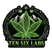 Ten Six - Gojirasarus - 4g