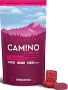 Forest Berry Chews 100mg | Camino