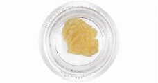 Jaunty - Velvet Vine - Live Rosin Badder