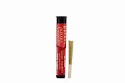 Revert - Sunset Sherbert - 0.5g Preroll
