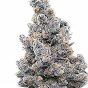 Super Boof - 1g - Trifecta Farms