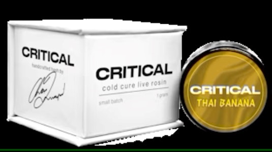 CRITICAL - Critical Concentrates - Thai Banana Cold Cure Live Rosin - Hybrid - 1G 