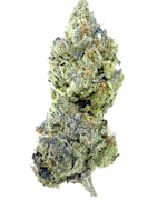 That Good Good | Lip Shmackerz | Sungrown Flower | 1/8oz