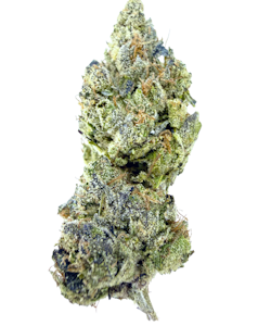 That Good Good - That Good Good | Lip Shmackerz | Sungrown Flower | 1/8oz