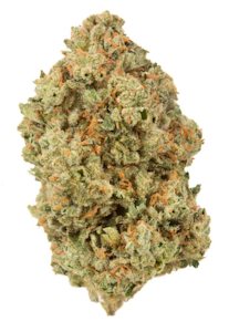 That Good Good - That Good Good | Travolta | Sun Grown Flower | 1/8 oz