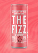 Manzanita Naturals x The Fizz - 100mg Sparkling Water - Strawberry 