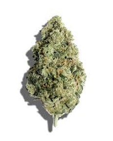 Buds - The Undertaker
