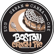 Urban Canna | Boston Cream Pie