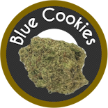 VCC - Blue Cookies - 3.5g