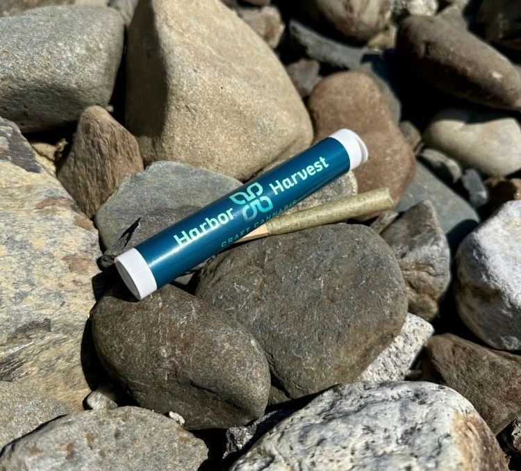 Harbor Harvest - Harbor Harvest | Jelly Donutz | 1g Pre-Roll Main Image
