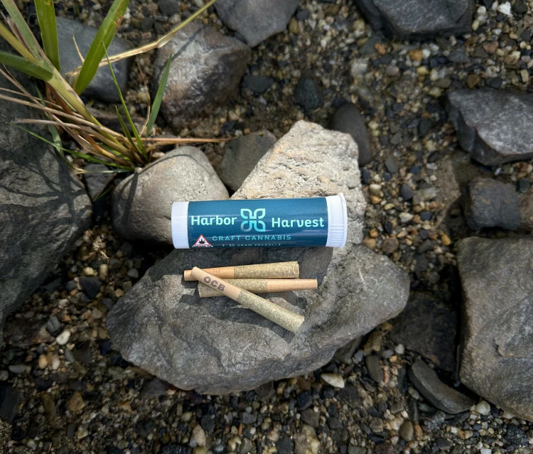 Harbor Harvest - Harbor Harvest | Blue Nova | 0.5g Pre-Roll | 3pk Main Image