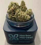 Harbor Harvest | Sour Dubble | 3.5G