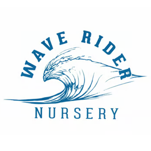 Wave Rider - Wave Rider Preroll 1g Apple Fritter