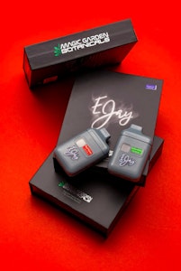 EJAYS - EJAYs - Power Mints - 1g - AIO Magic Garden Botanicals