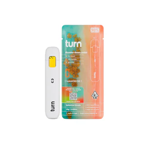 turn - 1g TURN Disposable Vape - Thunder Down Under 91%