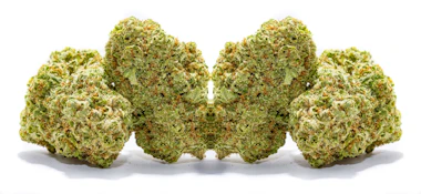 Canna Stix | Lemonhead Delight
