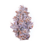 Alien Labs - Biskante Flower - 14G (Smalls)