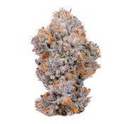 Connected - Biscotti Flower - 14G (Smalls)