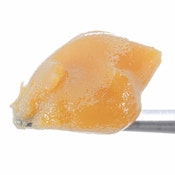 West Coast Cure - Banana Punch Live Resin Badder Concentrate - 1G