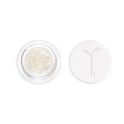 Raw Garden - VIrgin Pups Refined Live Resin Diamonds Concentrate - 1G