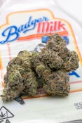 Ted Budz - Badger Milk Flower - 3.5G