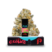 PLUGplay - Kiwi Burst Exotics Vape Pod - 1G