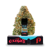 PLUGplay - Mango Mang Exotics Vape Pod - 1G