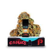 PLUGplay - Pina Cooler Exotics Vape Pod - 1G