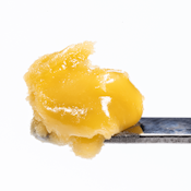 West Coast Cure - Gelato Cake Live Resin Badder Concentrate - 1G