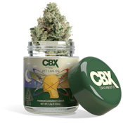Cannabiotix - Jet Lag OG Flower - 3.5G