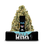 PLUGplay - Northern Lights DNA Vape Pod - 1G