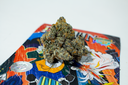 Teds Budz - Ted Penguin Flower - 3.5G