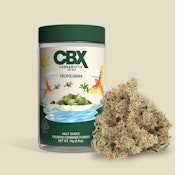 Cannabiotix - Tropicanna Flower - 14G