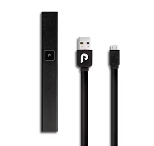 PLUGPLAY - PLUGplay - Rechargeable PLAY Battery - Black
